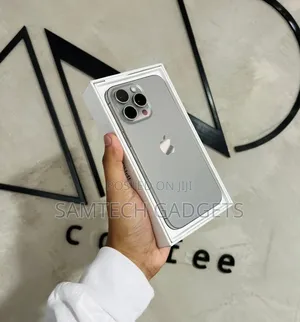Apple iPhone 15 Pro Max 256 GB Silver