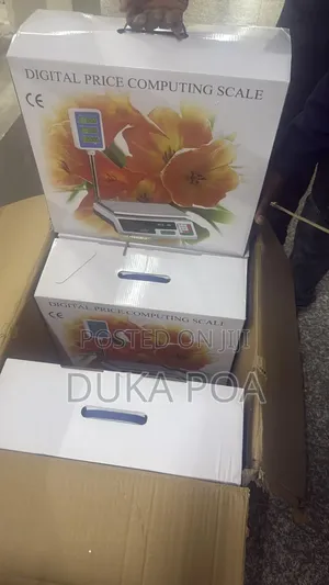 Commercial 40kg Electronic Price Computing Digital Weighing Scale