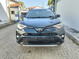 Toyota RAV4 LE 4dr SUV (2.5L 4cyl 6A) 2018 Gray