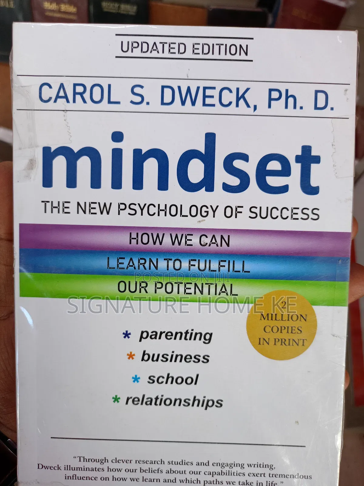 Mindset Novel