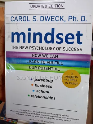 Mindset Novel