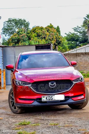 Cx5 for Hire