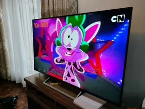 Sony 55 Inch Tv