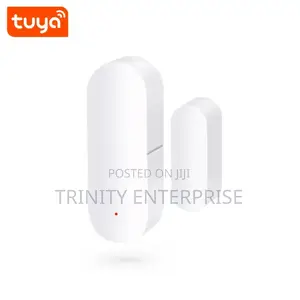 433mhz Wireless Window Door Sensor Wifi Magnetic Detector Home Alarm