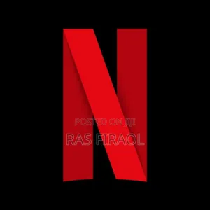 Netflix Account
