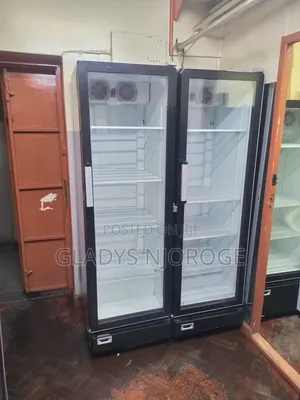 Perfect Working Chiller ( 500l ) Well
