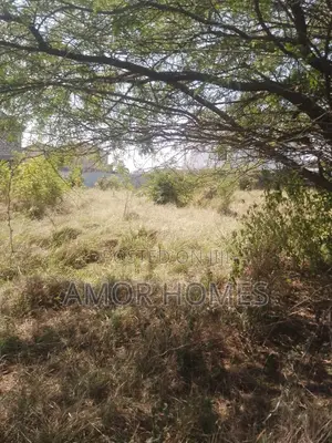 Plot 4 Sale