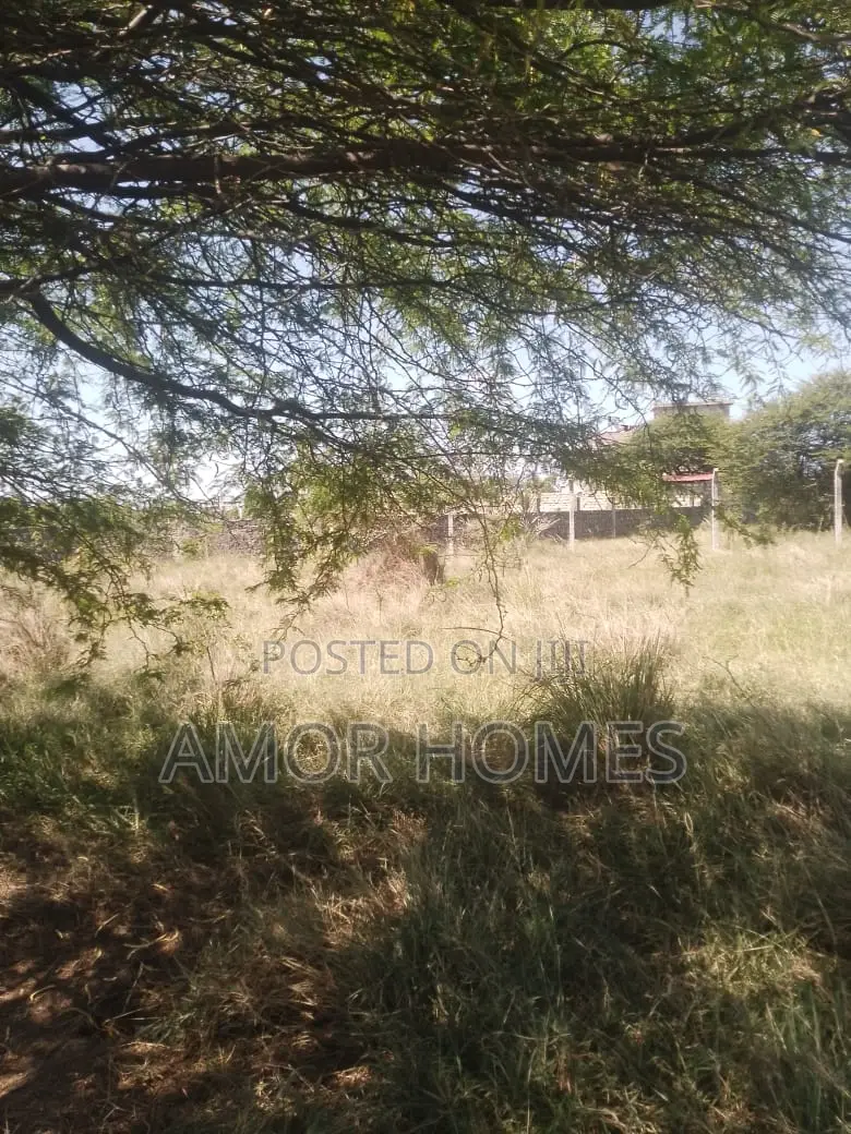 Plot 4 Sale