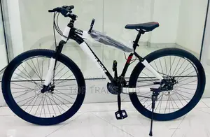 Premier Rider Mountain Bike Size 29/29"