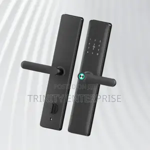 Smart Tuya App Remote Control Fingerprints Key Cards Password Lock