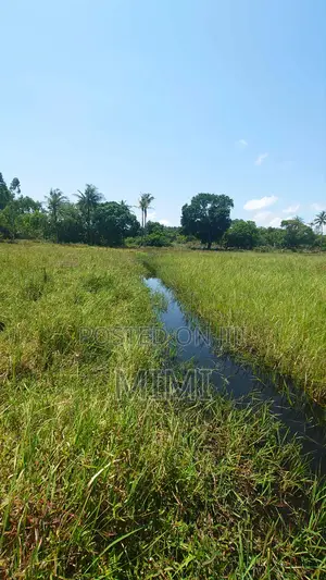 Reduced Price ! 3.9 Acre of Fertile Farmland at Mrima ,Bwiti Freehold