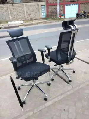 Modern Orthopedic Chair