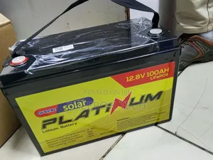 100ah Lithium Battery/Platinum Battery