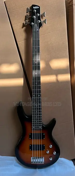 Ibanez 5 Strings 24frets Passive Bass Guitar ( Gio Grg121 Dx Series )