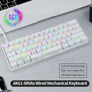 Backlight 60 % Mechanical Keyboards