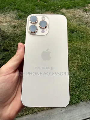 iPhone 16 Pro Max Back Panel Replacement