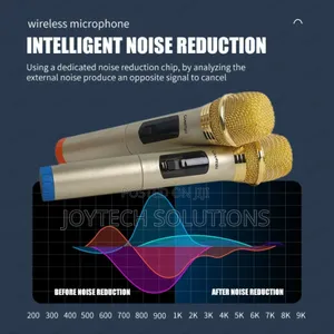 Portable Singing Wireless Handheld Microphone Dual for Stage Use