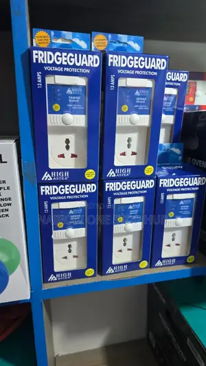 Voltage Protector for Refrigerator