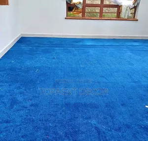 From Plain to Premium Vip 10mm Fluffy Wall to Wall Carpets