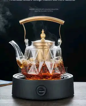 Classy and Unique Infusing Teapot