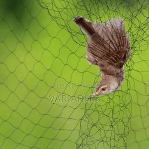 Bird Nets–To Protect Crops, Poultry, and Fish That Are Prone to Birds.