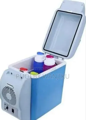 Car Refrigerator/Portable Car Fridge