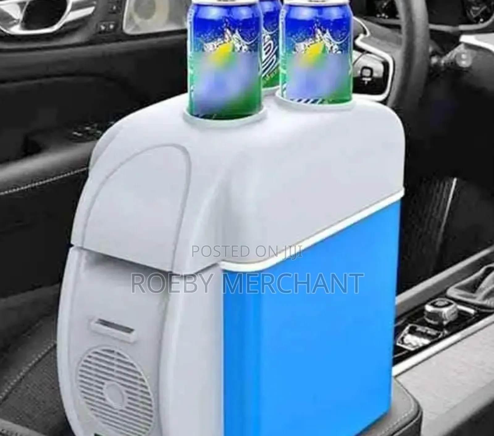Mini Car Fridge/Car Refrigerator