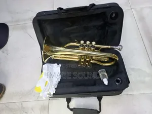 Cornet Instrument