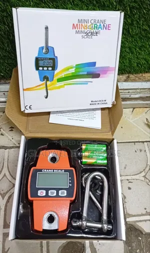 Affordable Hanging Crane Scale 300kg With Hooks
