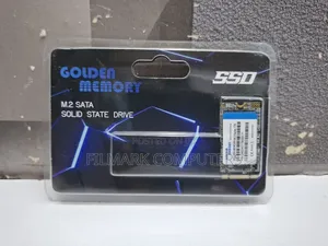 Golden M.2 Sata 2242 SSD 1tb, Pcie Gen3x4 Nvme SSD