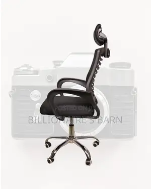 Secretarial Mesh Chair | Orthopedic Scratch-Resistant Finish