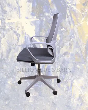 Grey Ergonomic Mesh Office Chair | Pro-Grade Scratch-Resistant Finish