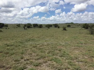 Prime 10 Acres for Sale 800 Metres Off Kiserian-Isinya Highway
