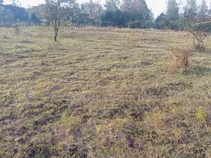 50 by 100 Plots Near Merisho Police Station, Matasia
