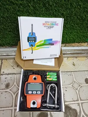 Crane Digital Weight 300kg White