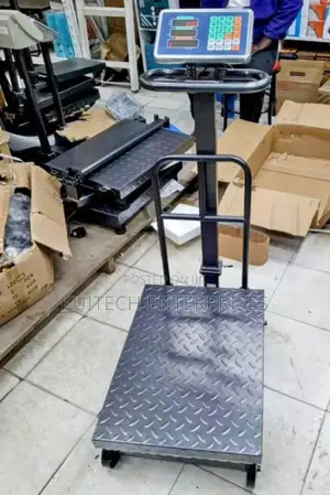 Platform Scale/ 600kg Digital Weight Scale