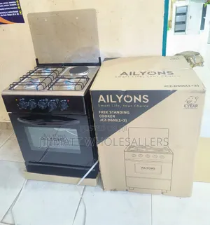  50*55 Ailyons 3+1 Standing Cooker