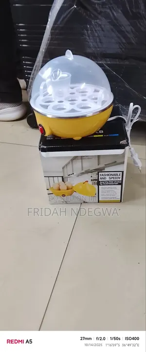 Electric Egg Boiler