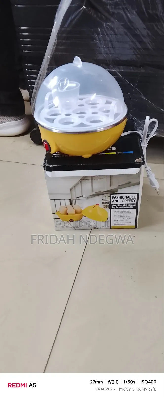 Electric Egg Boiler
