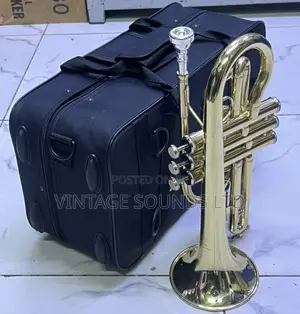 Yamaha Bb Cornet Instrument Set ( Gold Finish)