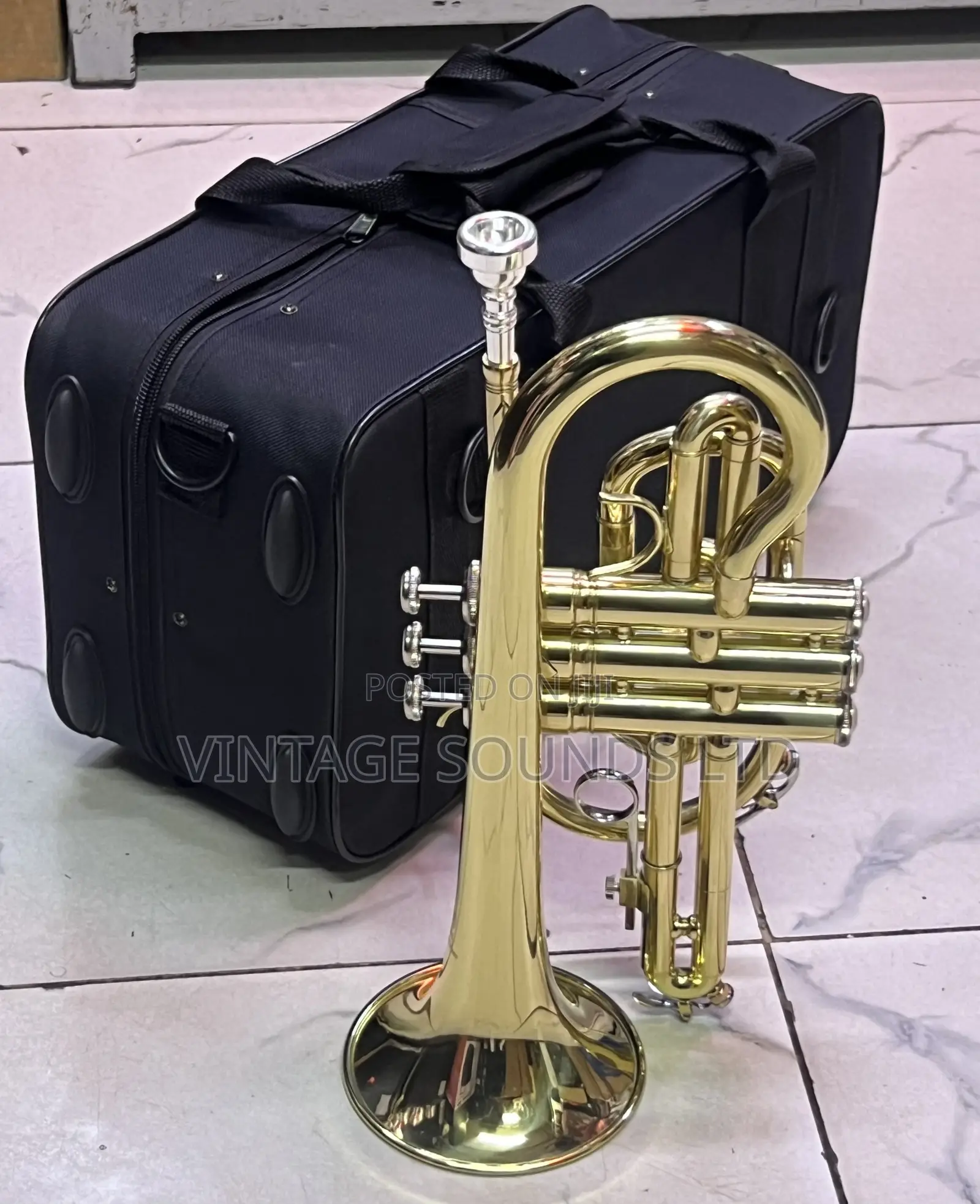 Yamaha Bb Cornet Instrument Set ( Gold Finish)