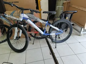 Premier Rider 24" Mountain Bike