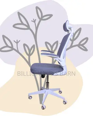Imported White Ergonomic Office Chair | Mesh Backrest