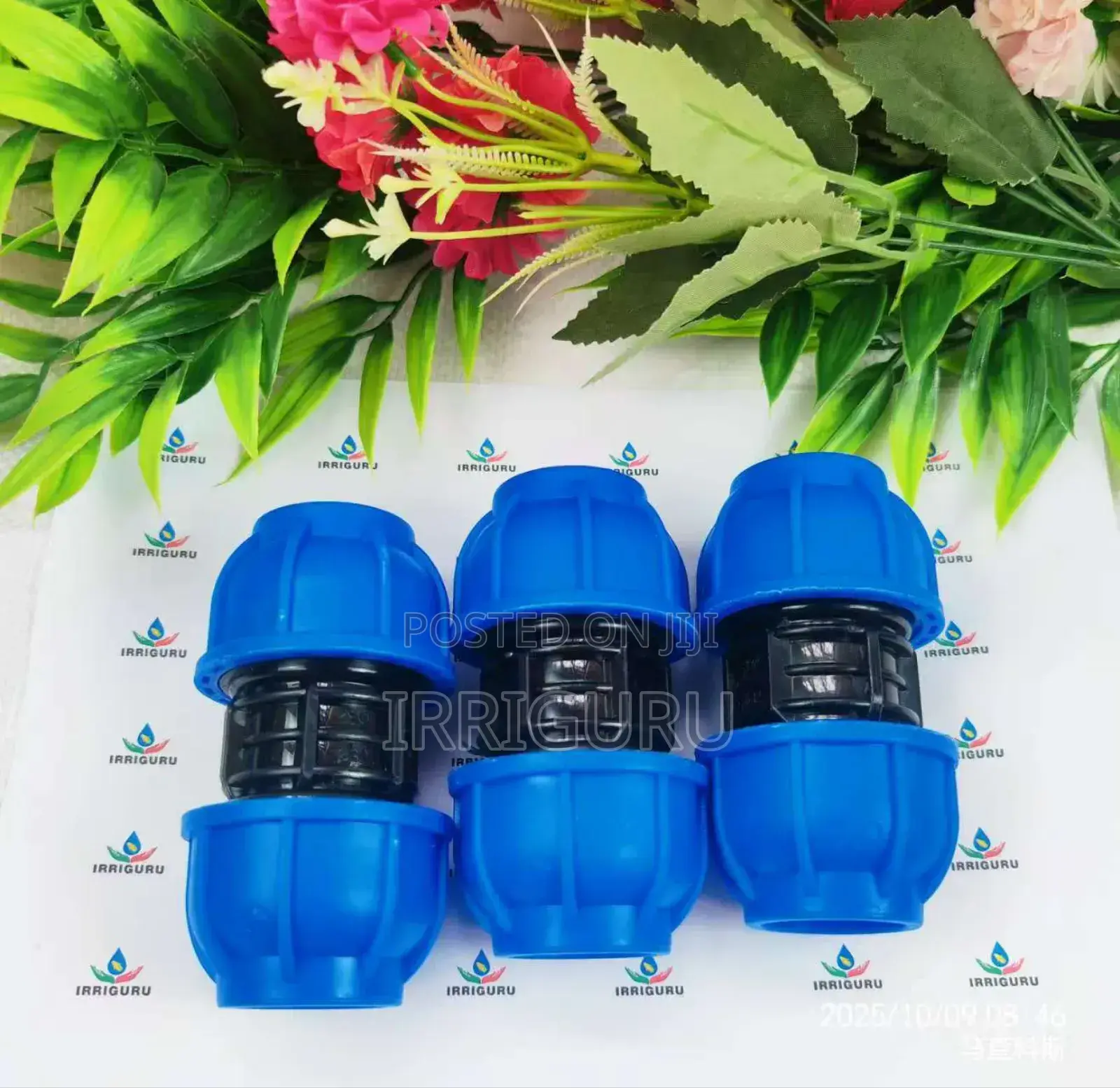 Blue Coupling