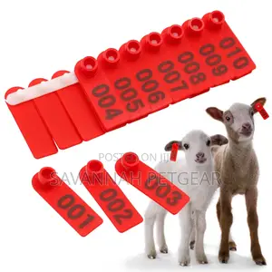 Laser Lettering Goat, Sheep Identification Mark Ear Tags