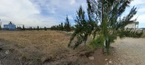 Quick Sale 1/8 Victory Gardens Phase 3 Kitengela