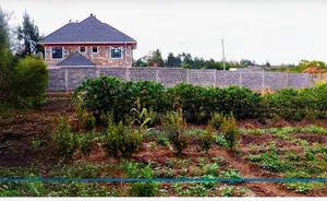 Utawala- Githunguri Area- Plot for Sale Size 100*100