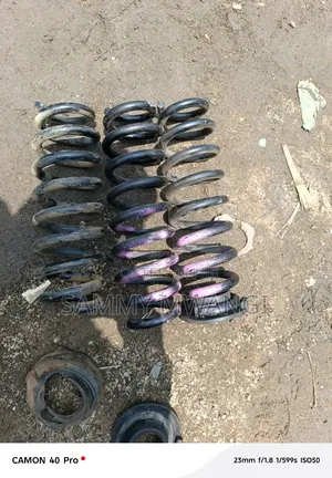 Ferrari 360 Heavy Duty Coil Spring 4000 Each