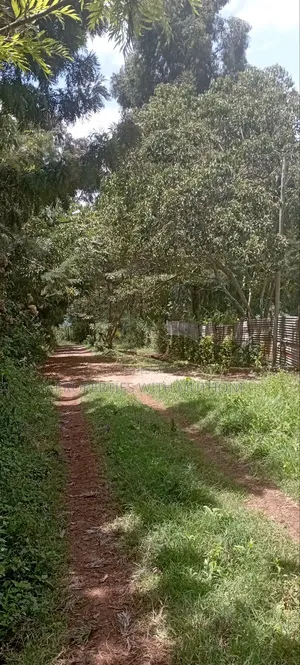 1⁄8acre Plots for Sale in Matasia,Ngong.