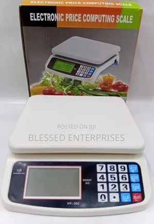 Quality Electric Computing Weighing Scale/Computing Scale